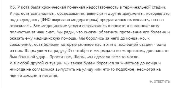 Еще немного про Муркошу. - Приют муркоша, Кот, Жестокость, Животные, Отзыв, Длиннопост