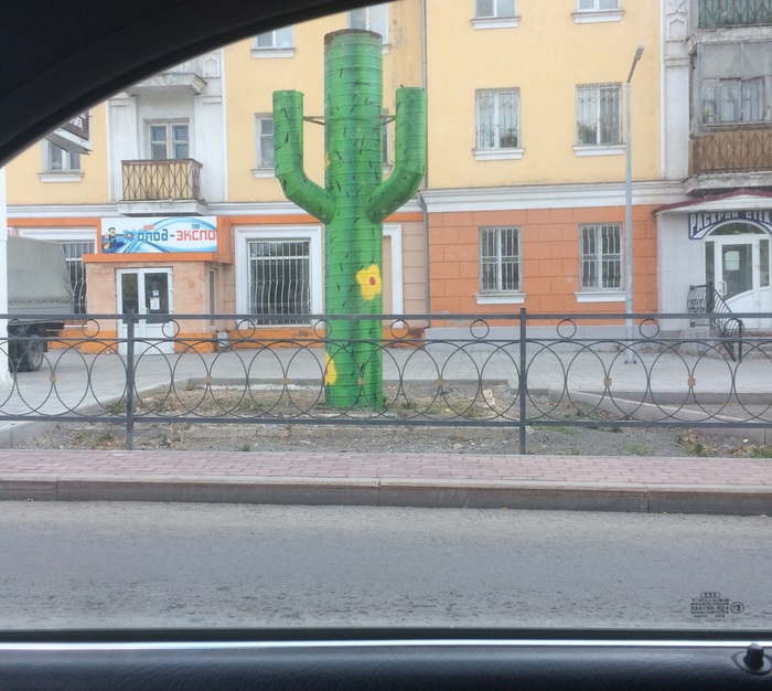 creative ventilation - My, Karaganda, Creative, Cactus