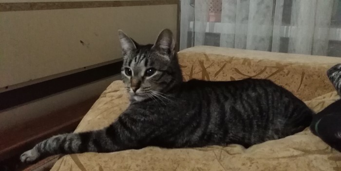 "\" , , 