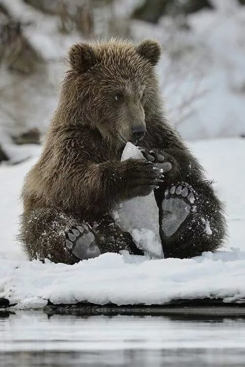 ���������.