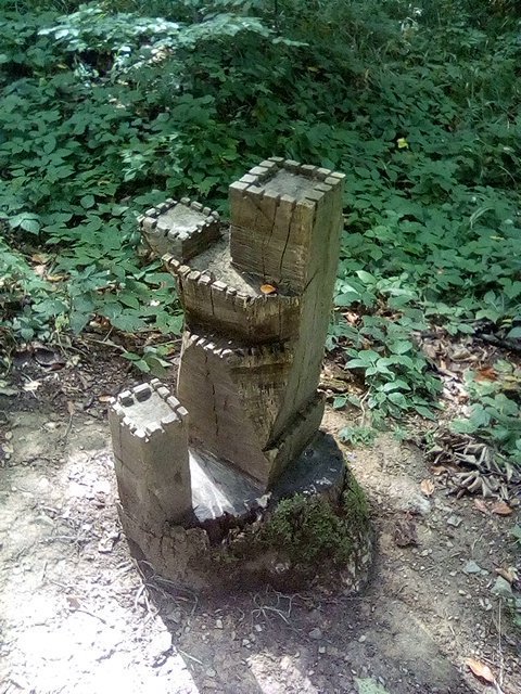 Unexpected forest creativity - Stump, , Forest, Creation, Lock, Art