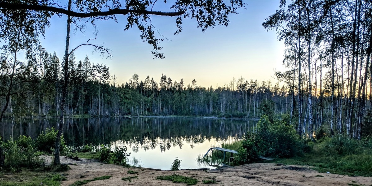 Lake отзывы. Лесное озеро Литвиново. Озеро Суханы Себежский район. Форест Лейк Лебяжье озеро. Лесное озеро Литвиново лагерь.