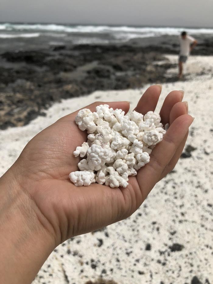 These rocks on a Canarian beach look exactly like popcorn - The photo, Beach, Canary Islands, Fuerteventura, A rock, Food, Popcorn, Reddit