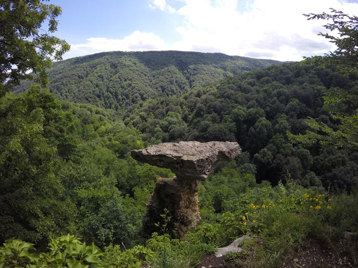 A little about work.. 4 - My, The mountains, Forest, Tourism, Workplace, Work, Adygea, The rocks, Longpost, Republic of Adygea