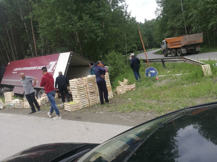 Under Ekb, a truck with vegetables drove into a ditch. post riddle - My, Wagon, Fell asleep at the wheel, Driver, Crash, Road accident, golden mean, Yekaterinburg