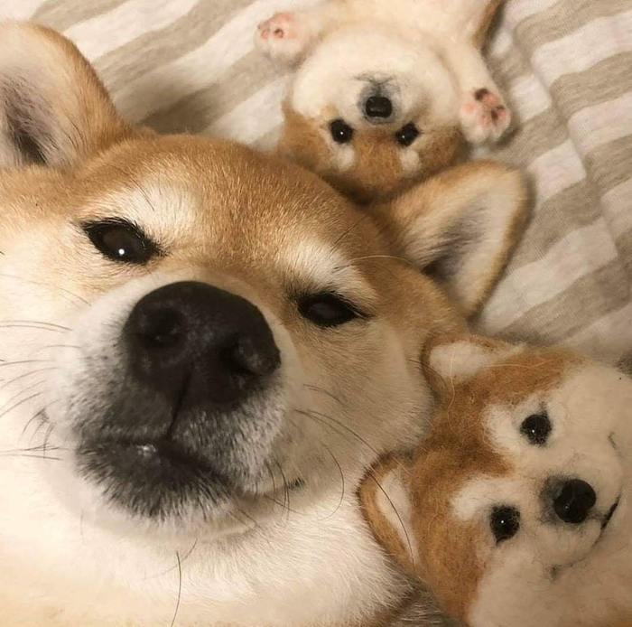 -  
