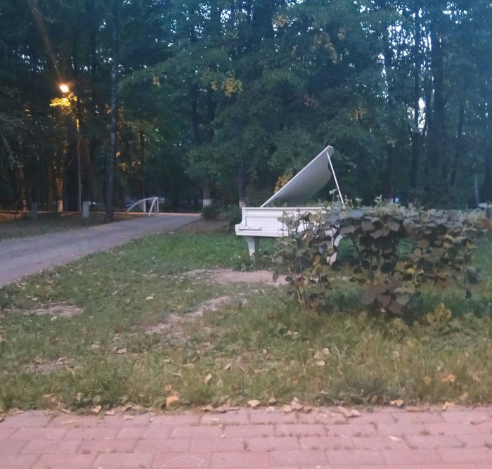 Piano in the bushes - My, The park, Piano, Piano in the bushes, Dungeons & dragons, City of Queens