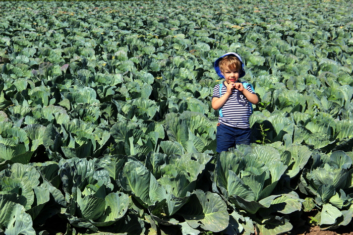 Поход выходного дня (ПВД). Турово - Ступино. День первый. Поход, Путешествия на выходные, Ока, Сенькин брод, Подмосковье, Длиннопост