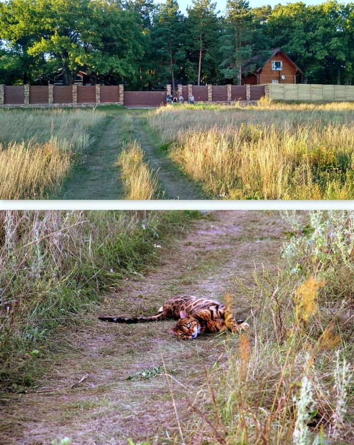 Поход выходного дня (ПВД). Турово - Ступино. День первый. Поход, Путешествия на выходные, Ока, Сенькин брод, Подмосковье, Длиннопост
