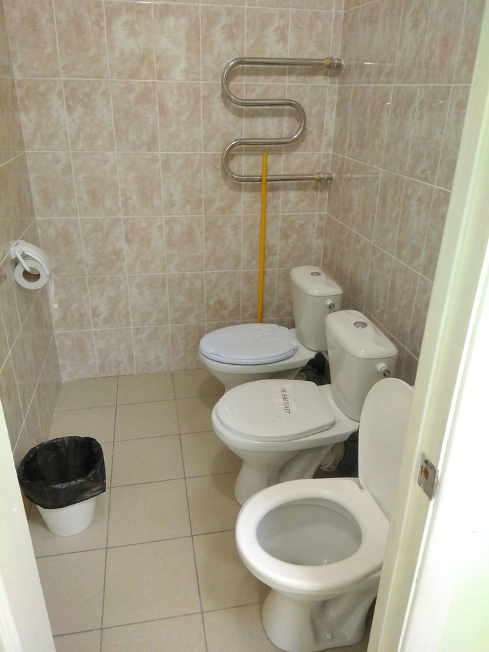 For the company. - Toilet, Customer focus