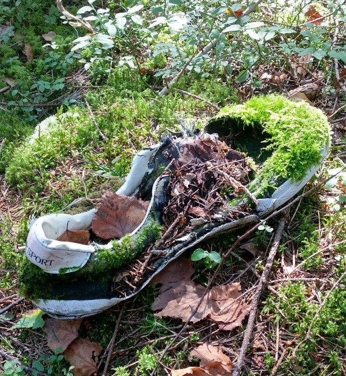 Nature always takes over - Forest, Nature, Time, Shoes, My