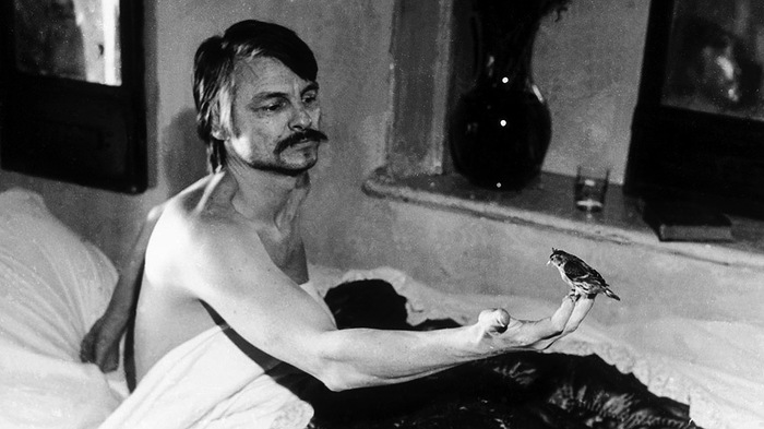 About cinema and Tarkovsky - Tarkovsky, Movies, Bad movie, Art, Longpost