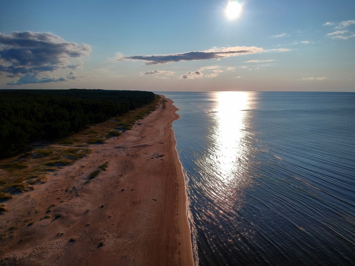 ��� �����