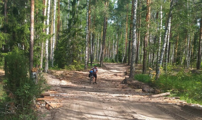 Пляжный отдых в марийском лесу или “долгая дорога в дюнах”. Марий Эл 12-19 августа 2018г. Часть 1. Путешествия, Туризм, Поход, Путешественники, Велосипед, Велосипедист, Путешествие по России, Длиннопост