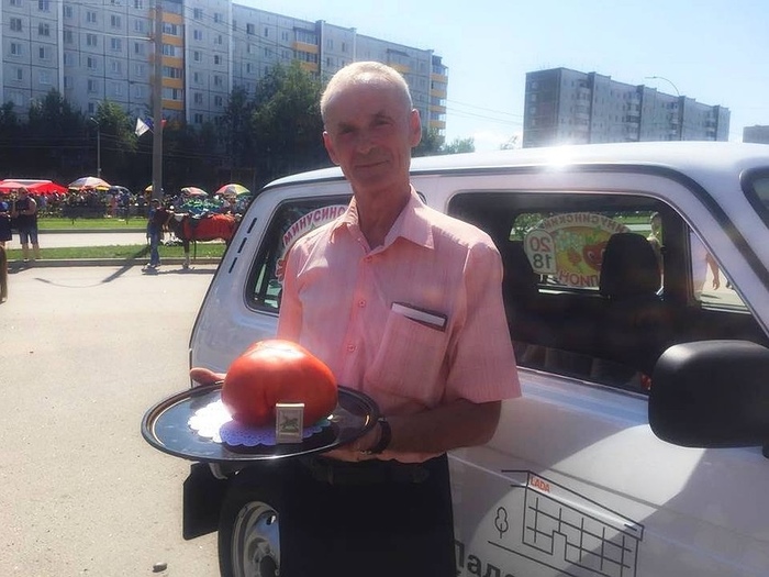 A resident of Minusinsk received Niva for the largest tomato - Tomatoes, Auto, Winners, Competition, Minusinsk, Krasnoyarsk region, Niva