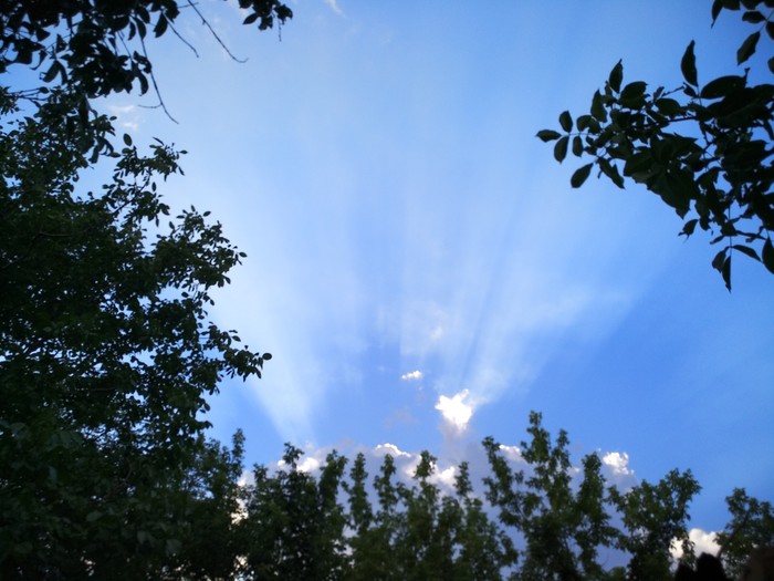 ������, �����.