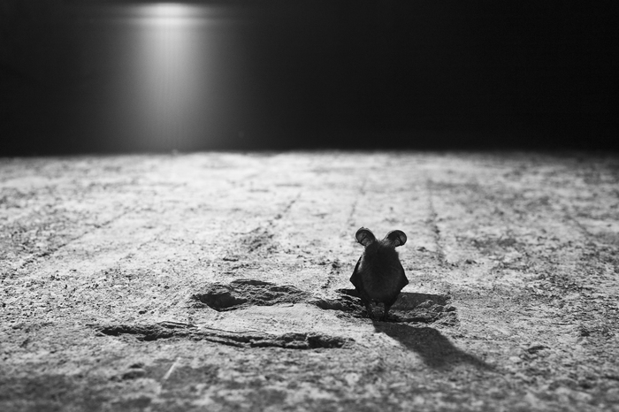 �������