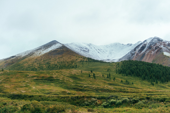 Снежные горы Алтая Горы, Республика Алтай, Длиннопост, Фотография