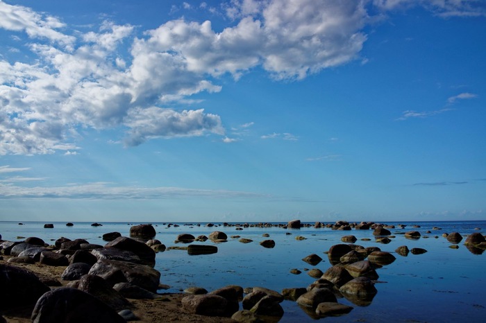 Мои фотографии природы Эстонии Фотография, Эстония, Природа, Длиннопост