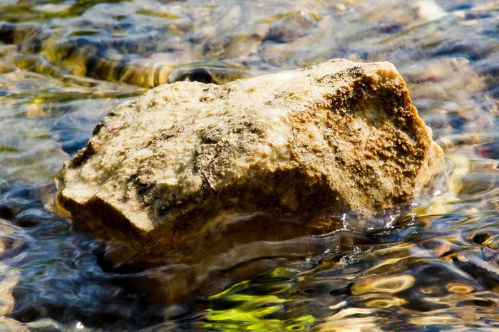 Мир под ногами Длиннопост, Дзержинск, Фотография, Canon 1300d, Природа