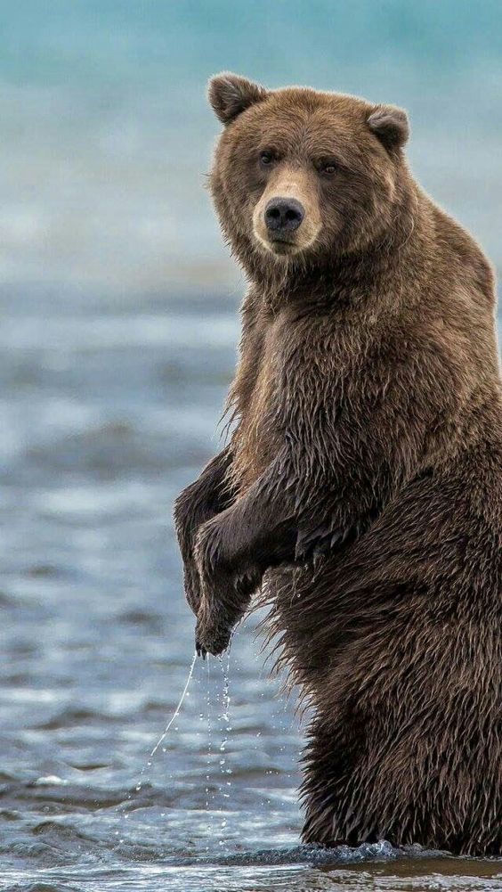 ���� ���?