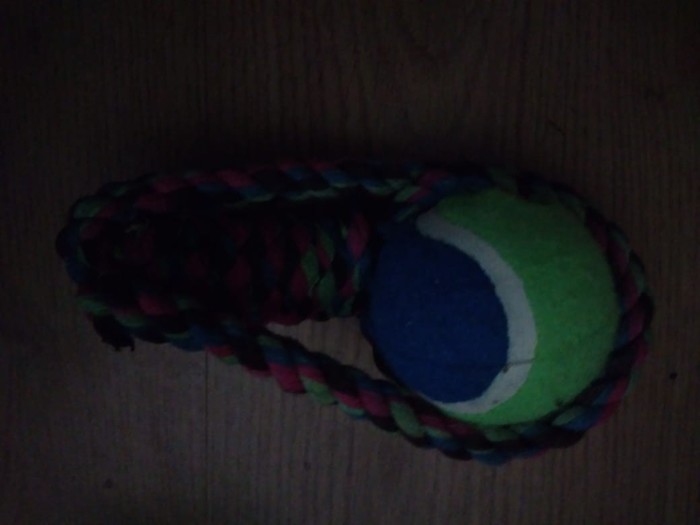 Just a dog toy - My, Toys for animals, Creative