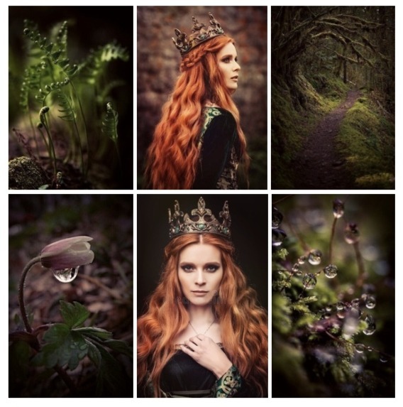red queen - My, Story, Miniature, Forest, , Fairytale story