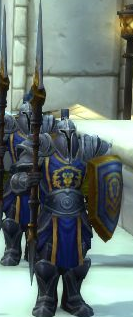 Alliance Army in Battle For Azeroth Part 1 - My, Wow, World of warcraft, Alliance, , , Anduin, Longpost, Anduin Rinn