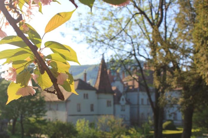 Manor Beregvar - My, Lock, The photo, How does the morning begin?, Landscape