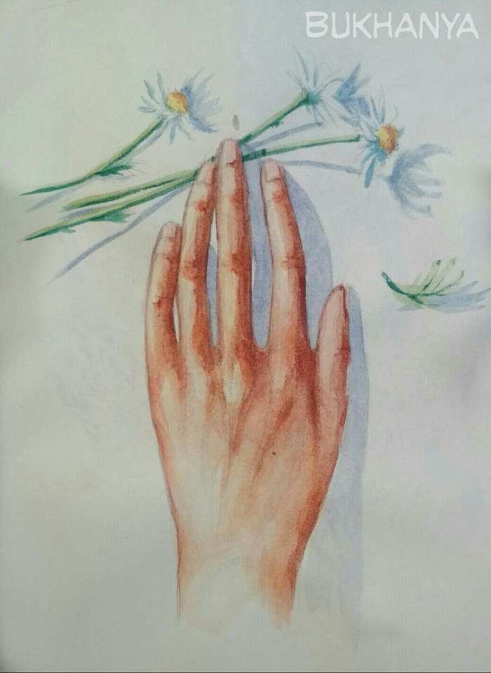 Chamomile - My, Watercolor, Chamomile, Arms, Flowers, Drawing