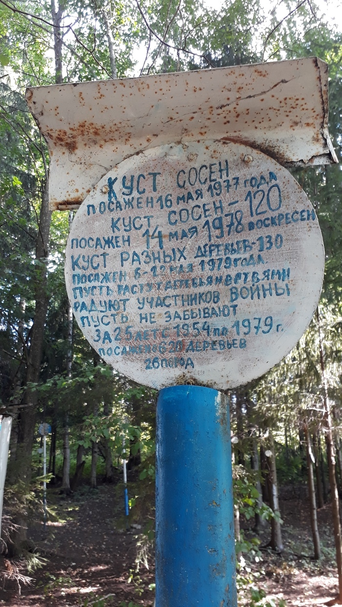 Сад памяти солдата Шахтарина Киров, Вятка, Великая Отечественная война, Сад памяти, Солдаты, Котельнич, Длиннопост