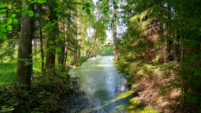 Сад памяти солдата Шахтарина Киров, Вятка, Великая Отечественная война, Сад памяти, Солдаты, Котельнич, Длиннопост