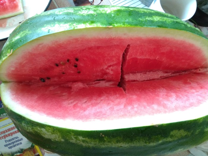 Watermelon for a quarter of the seeds. - My, Watermelon, Pitted, My, Bingo