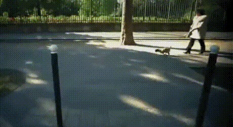    !