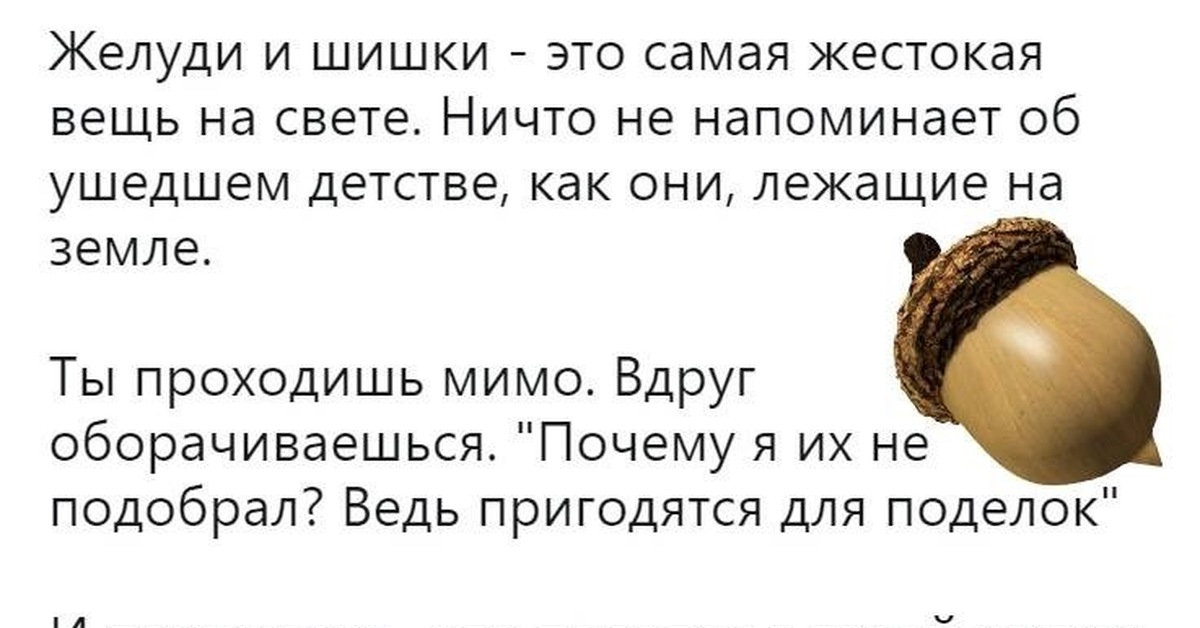 Желудь как пишется. Желудь прикол. Цитаты про Желудь. Шутка про Желудь. Стихи про желуди с юмором.