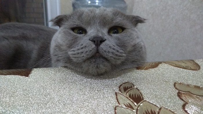 В ожидании...