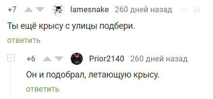 Как я лечил голубя. - Моё, Птицы, Голубь, Домашние животные, Видео