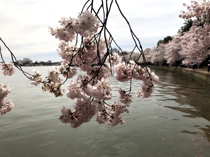       Washington DC , , , , , , 