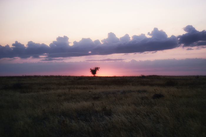 On the way to the General's Beaches - My, Azov sea, Steppe, Crimea, Sunset