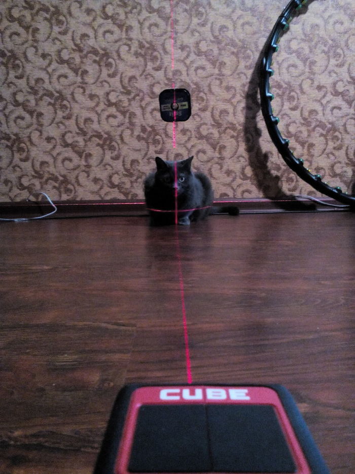 Купил себе нивелир, по описанию весьма точный, решил проверить отвесом и пришла помощница.