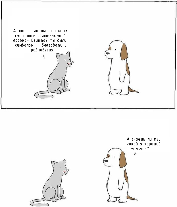 When arguments are useless - Translation, Reddit, Good boy, Dogs versus cats, Comics, cat, Dog