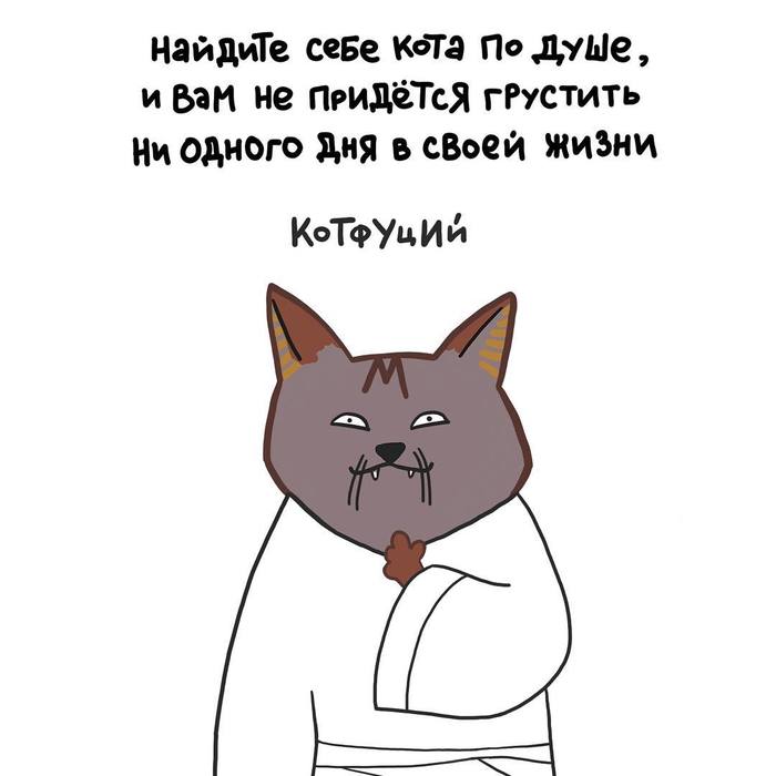 Цитата от Котфуция. - Кот, Цитаты, Мир котов