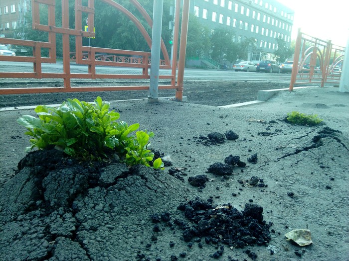 ������ ������� ����������