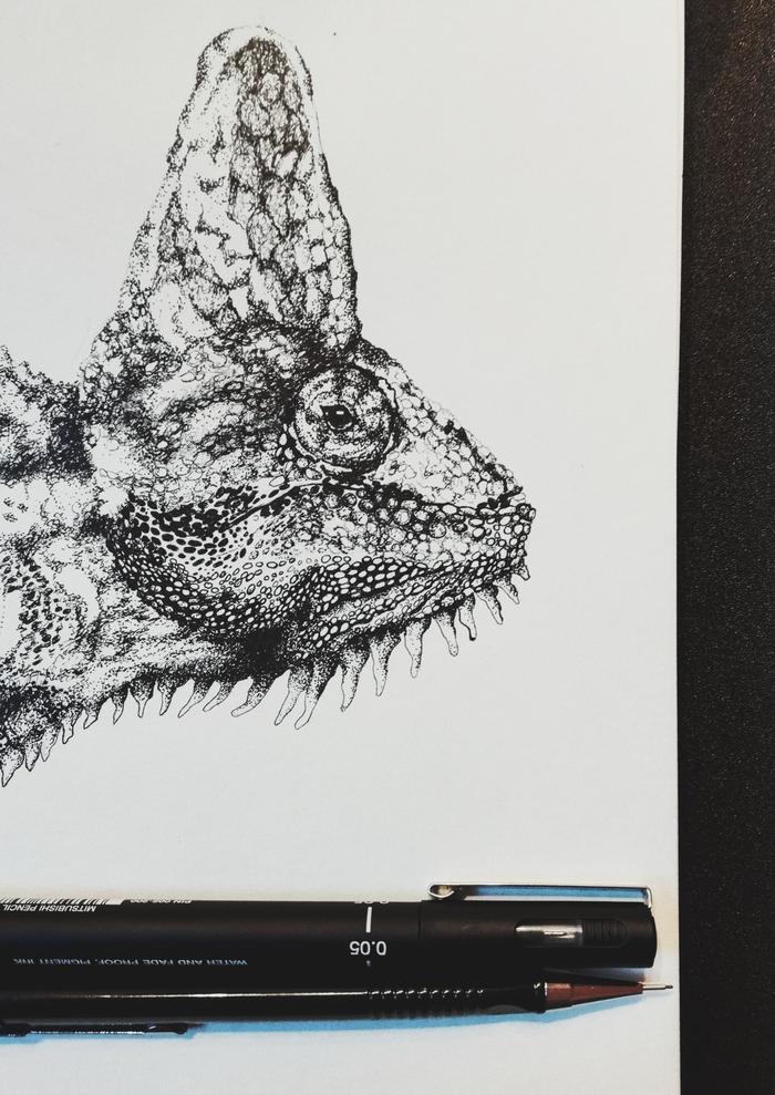 Chameleoleg - My, Drawing, Chameleon, Animals, Graphics, Creation, Animalistics, Reptiles