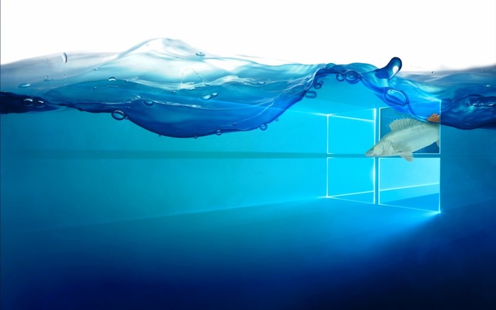 desktop background - Windows, My, Desktop wallpaper, A fish, Photoshop master