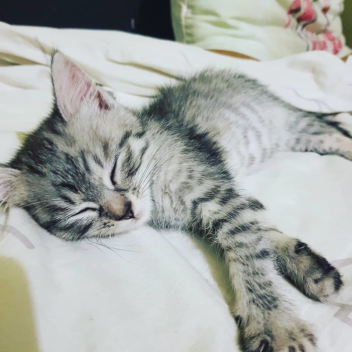 ������ ����..