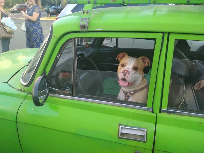 �������������� ������� "������� �������"