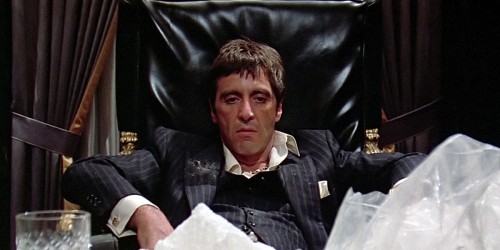 Cocaine cat - grief in the family - My, cat, cat fun, Tony Montana