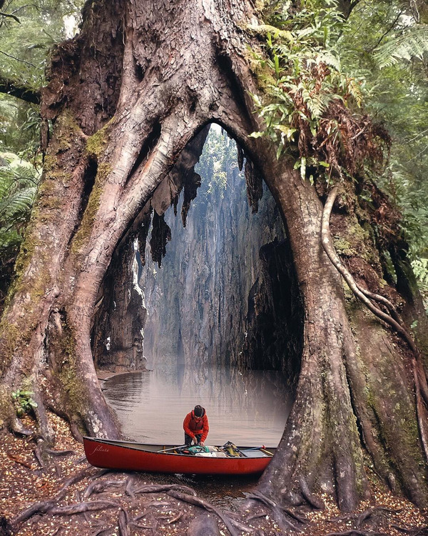 beauty of nature - beauty of nature, Tree, Water, A boat, Photoshop