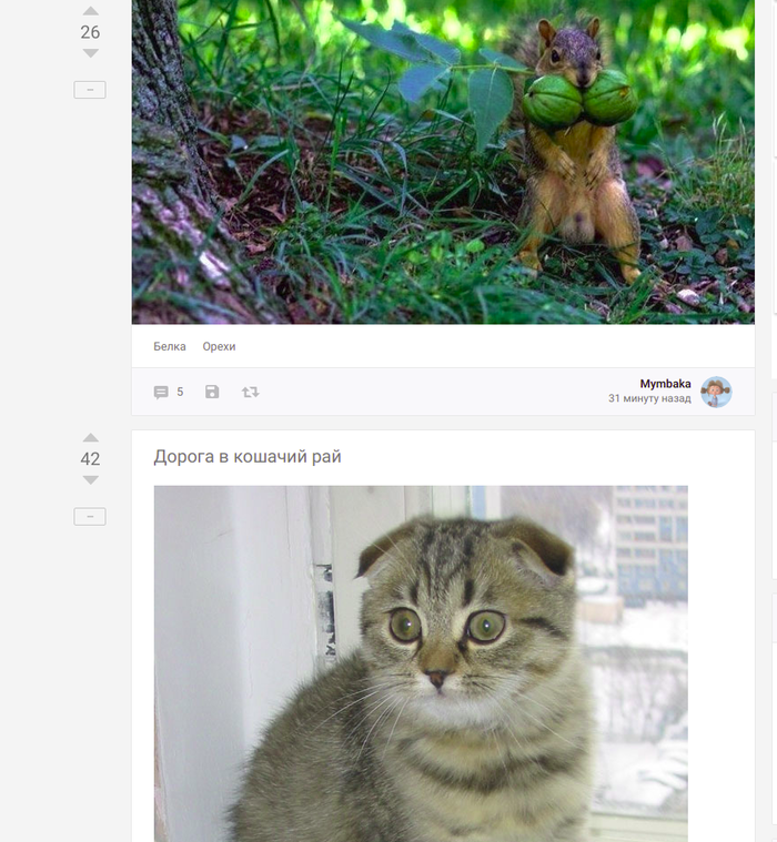 ����������� Pikabu...